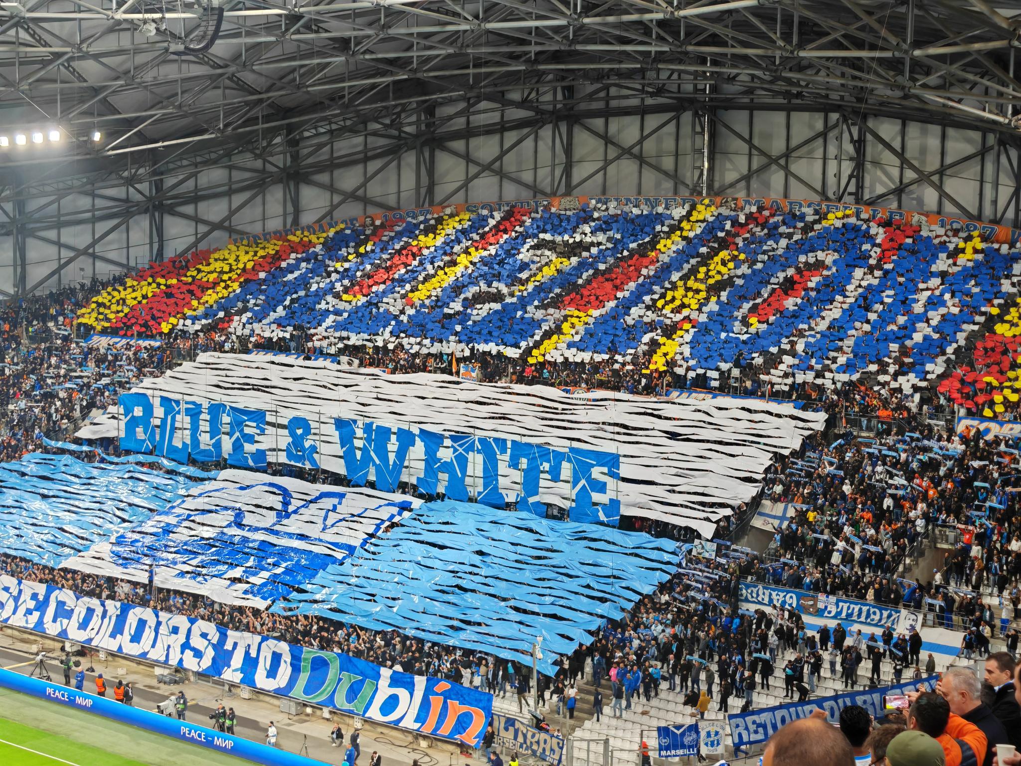 supporter tifo .jpeg (753 KB)